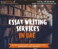 essay writing website