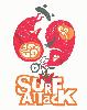 surfattack2004